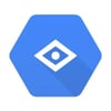Google Vision
