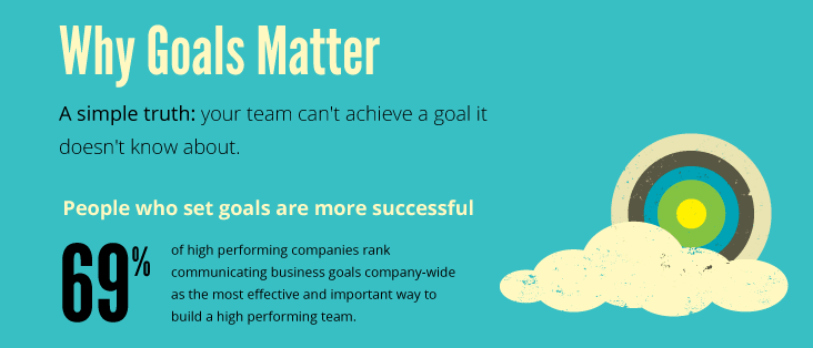 Why goals matter (Vunela)