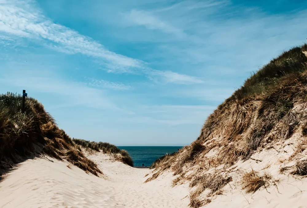 GetAccept | Comment booster ses ventes pendant les vacances d'été ?