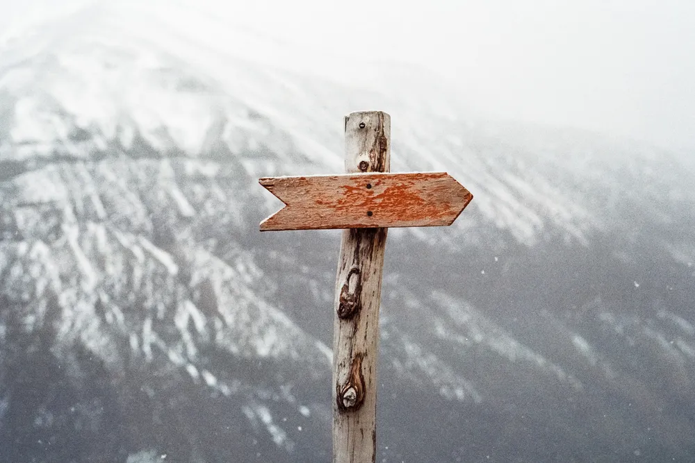 The future of B2B sales
